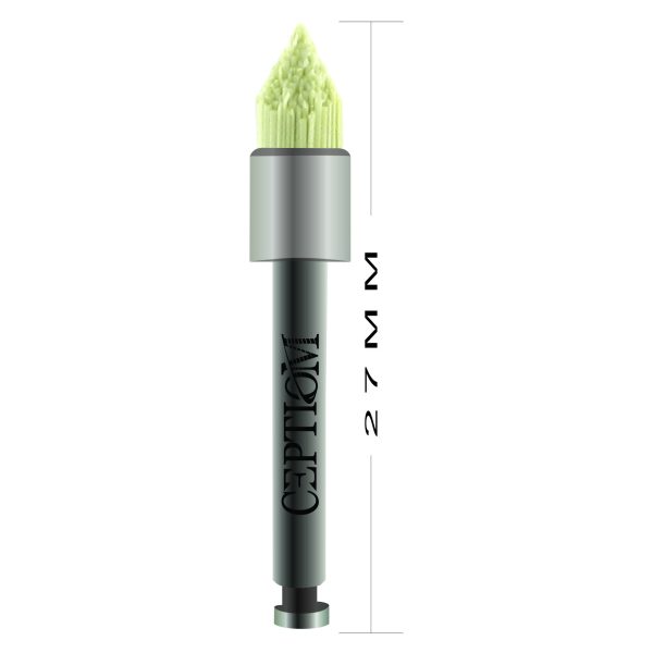 Escova Magic Brush Ceptiom, impregnada com carbeto de silicio. Pré Polimento e Polimento final em Resina Foto ES30.204