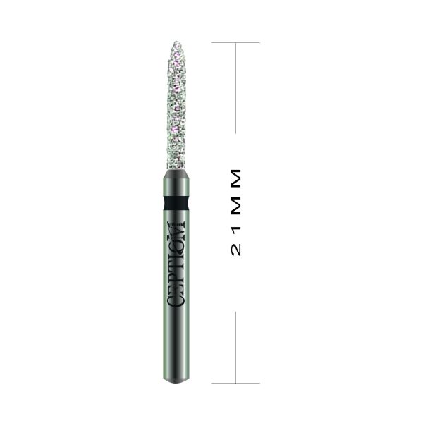 Pontas Diamantadas Ceptiom Standard F D23.314.012F - 3216F