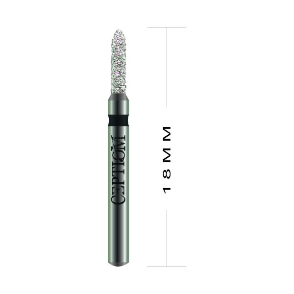 Ponta Diamantada Ceptiom Standard D23C.314.012SG - 2215SG