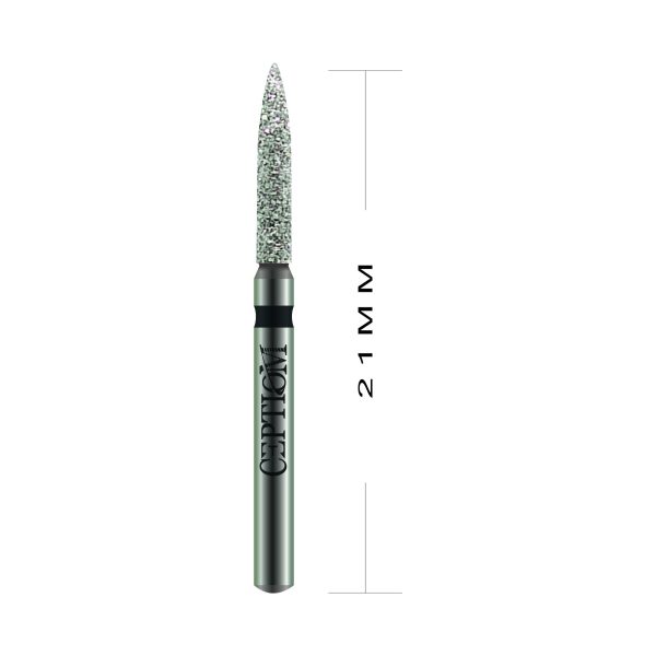 Pontas Diamantadas Ceptiom Standard Bopt SG D25.314.014SG