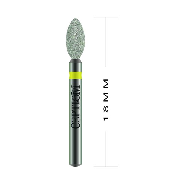 Ponta Diamantada Ceptiom Standard D30.314.023SF - 3118SF