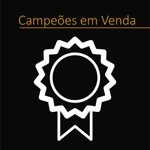 Campeões em vendas