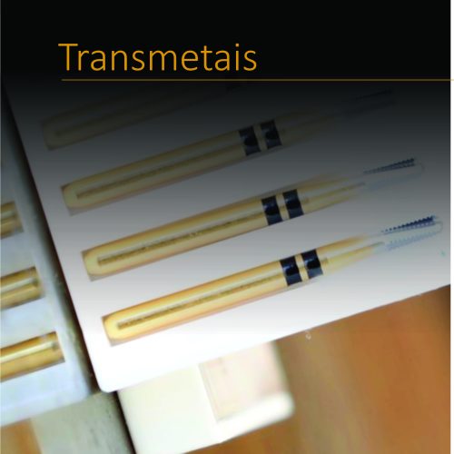 Brocas Transmetal