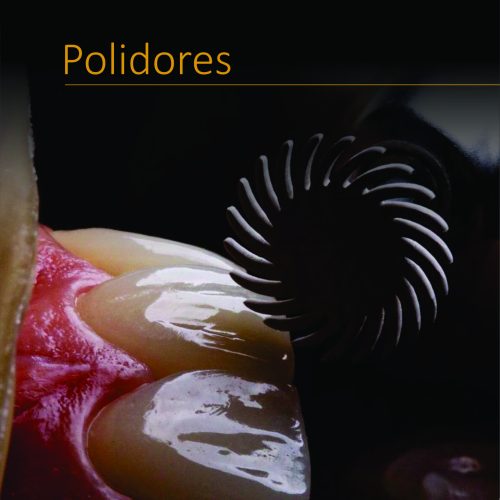 Polidores Odontológicos