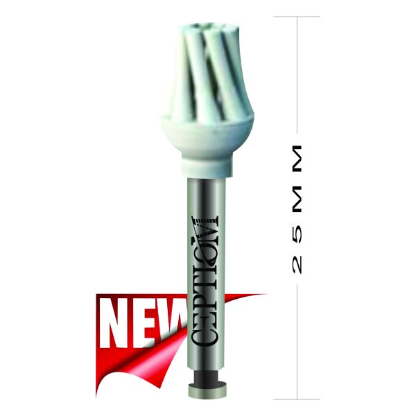 Polidor Ceptiom PDR63.204F